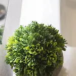 Apartman Ag El Alamo